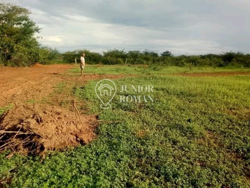 Fazenda/Sítios/Chácaras no bairro -, em Cristópolis | Eu Corretor