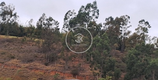 Lote/Terreno no bairro Sítio recreio, em Ubá | Eu Corretor