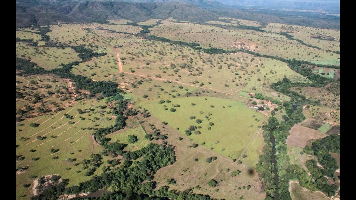 Fazenda/Sítios/Chácaras de 20300000m² no bairro Não informado, em Buritis | Eu Corretor