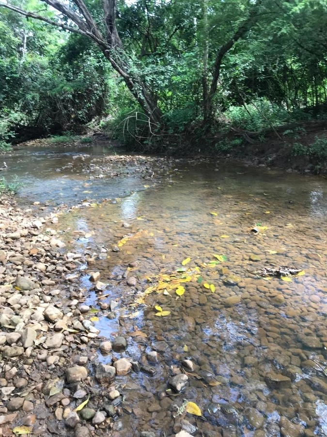 Fazenda/Sítios/Chácaras de 17908000m² no bairro Centro, em Formosa | Eu Corretor