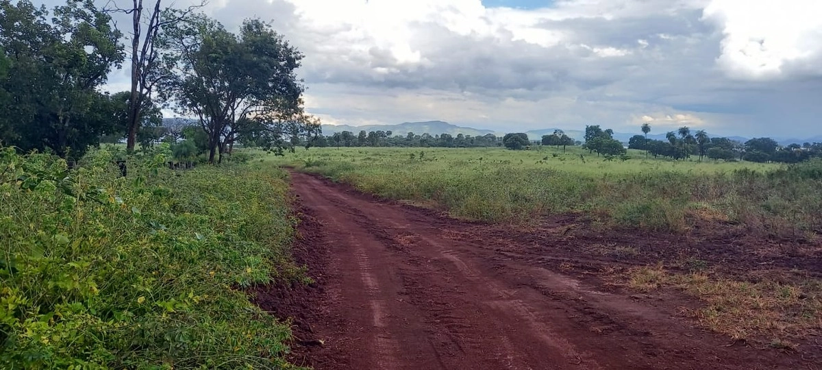 Fazenda/Sítios/Chácaras de 13648800m² no bairro Minaçu, em Minaçu | Eu Corretor