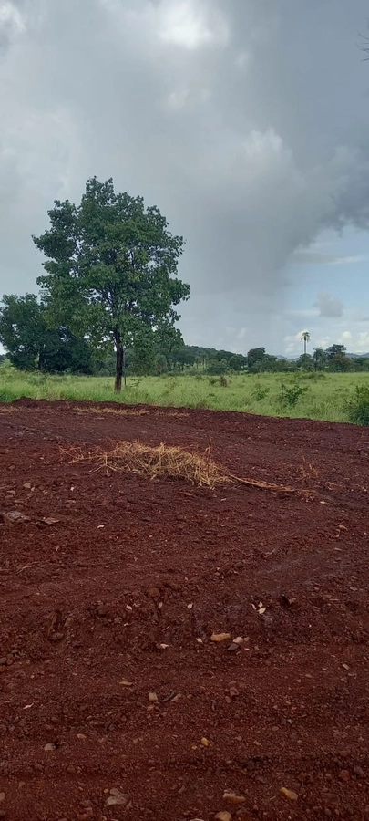 Fazenda/Sítios/Chácaras de 13648800m² no bairro Minaçu, em Minaçu | Eu Corretor