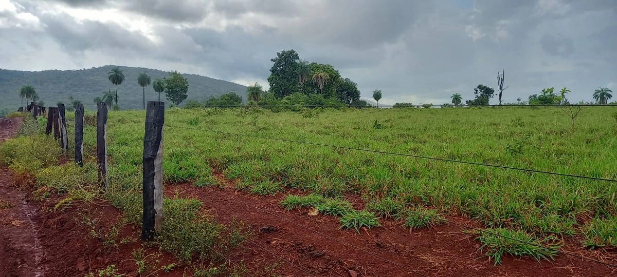 Fazenda/Sítios/Chácaras de 13648800m² no bairro Minaçu, em Minaçu | Eu Corretor