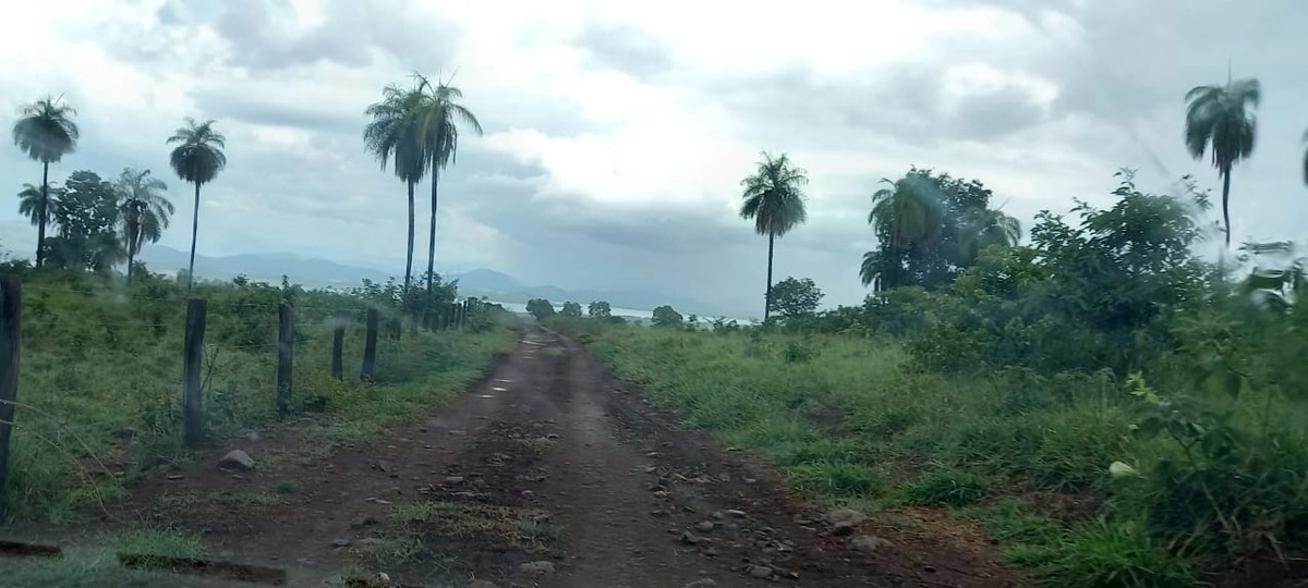Fazenda/Sítios/Chácaras de 13648800m² no bairro Minaçu, em Minaçu | Eu Corretor