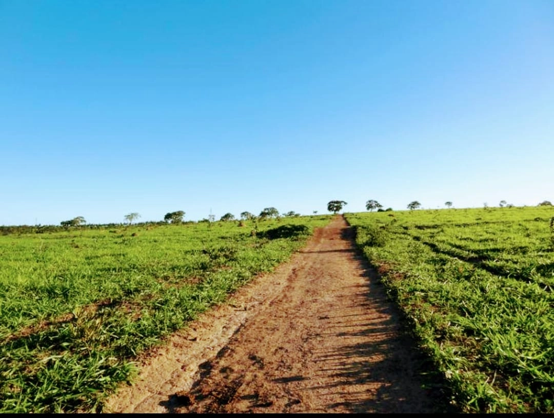 Fazenda/Sítios/Chácaras de 2490000m² no bairro Unaí, em Unaí | Eu Corretor