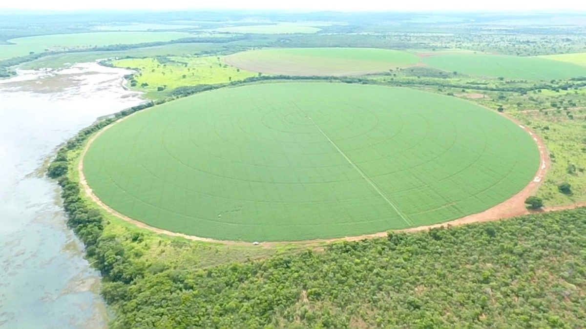 Fazenda/Sítios/Chácaras de 6950000m² no bairro Centro, em Unaí | Eu Corretor