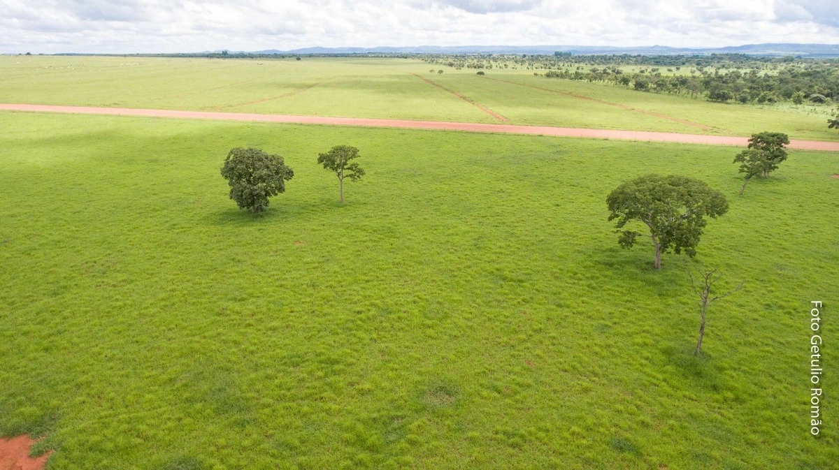 Fazenda/Sítios/Chácaras de 12790000m² no bairro Centro, em Unaí | Eu Corretor