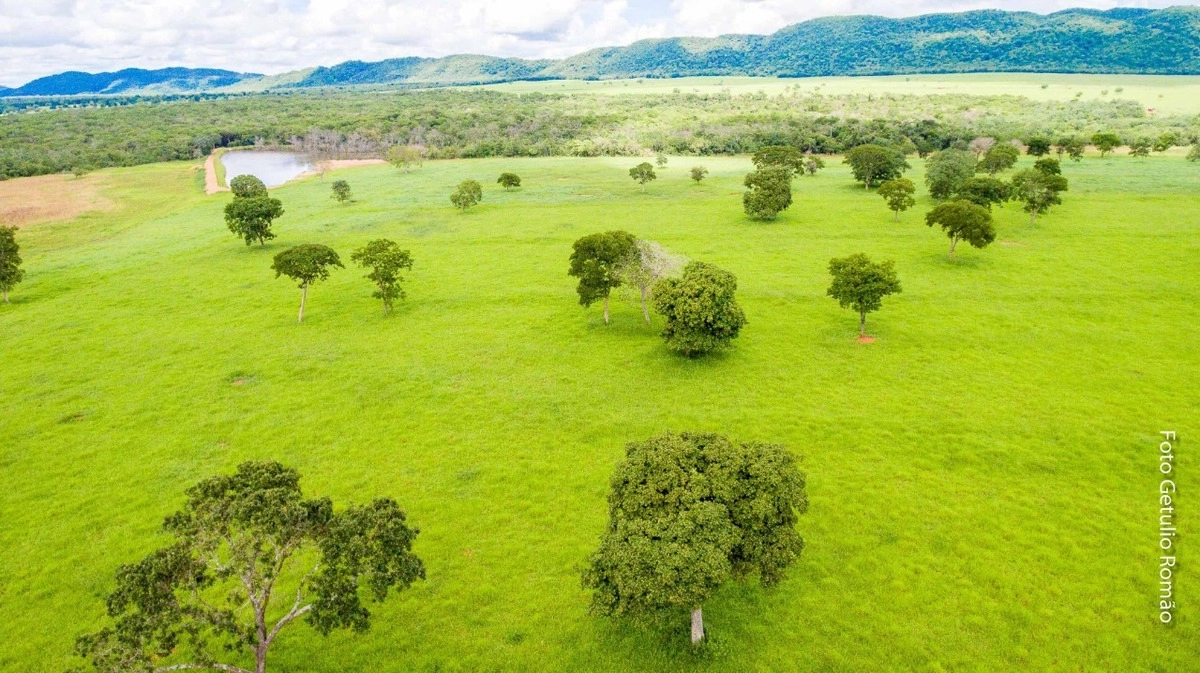Fazenda/Sítios/Chácaras de 12790000m² no bairro Centro, em Unaí | Eu Corretor