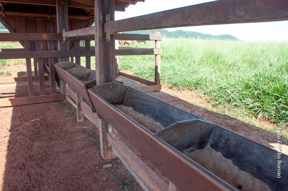 image_re_6765442.jpg