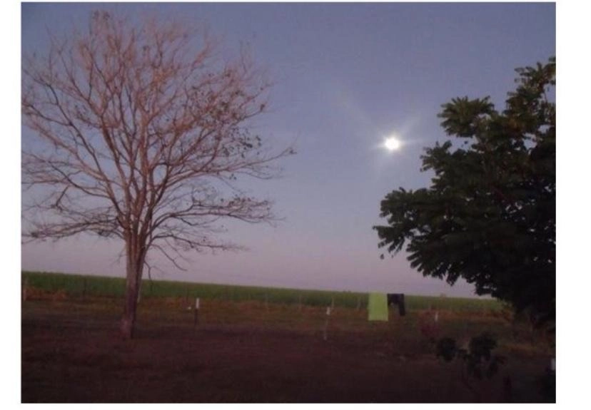 Fazenda/Sítios/Chácaras de 2042400m² no bairro Campinorte, em Campinorte | Eu Corretor