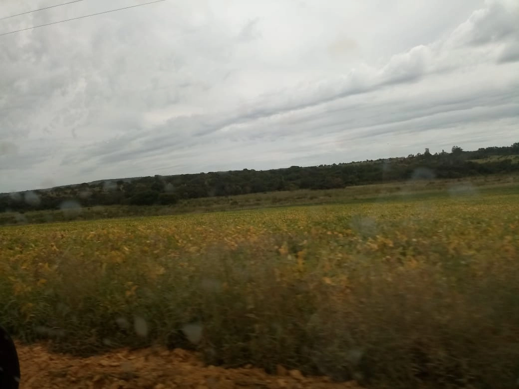 Fazenda/Sítios/Chácaras de 28759300m² no bairro Não informado, em Formoso | Eu Corretor