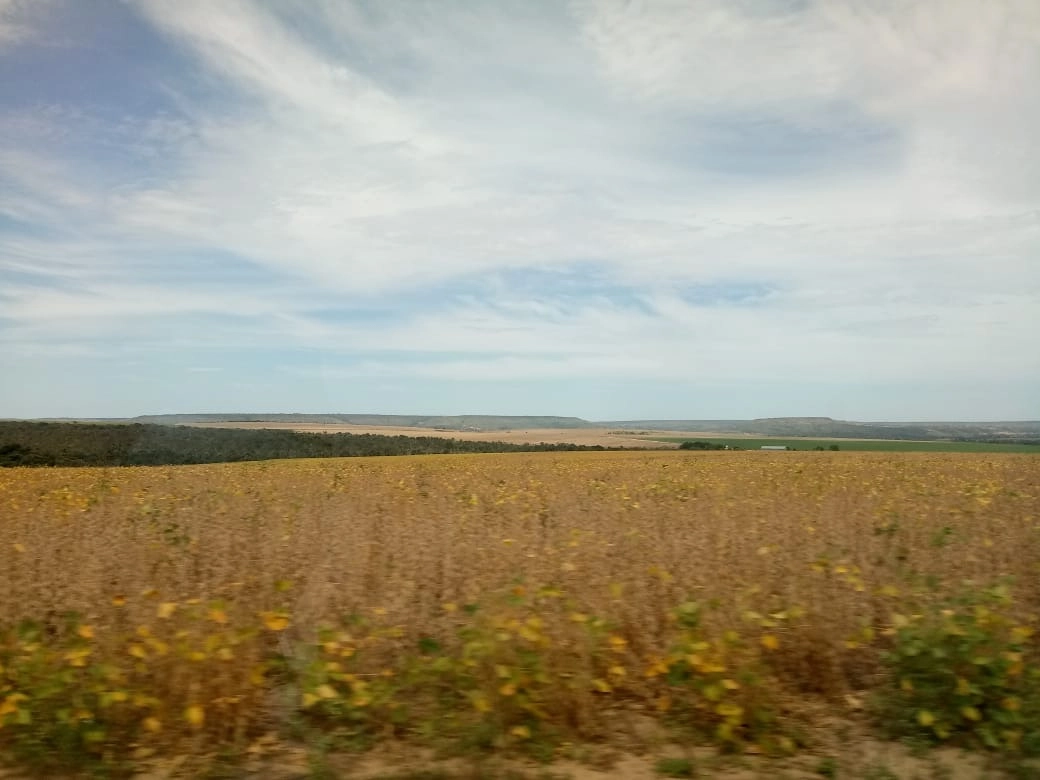 image_re_6765583.jpg