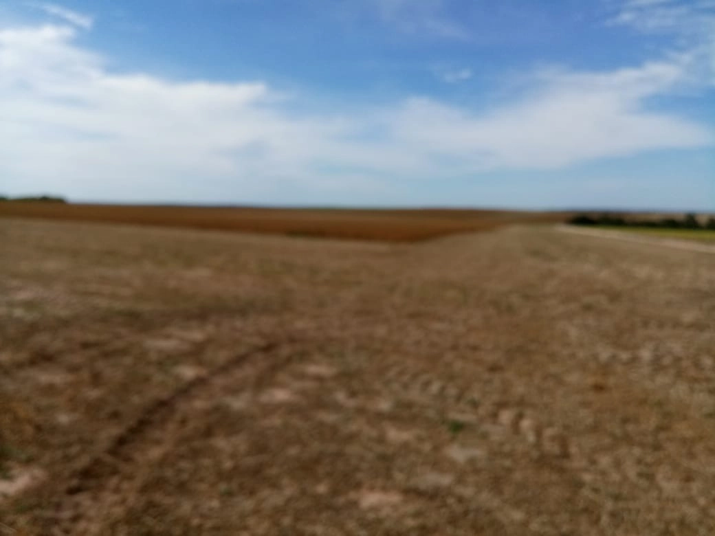 image_re_6765589.jpg