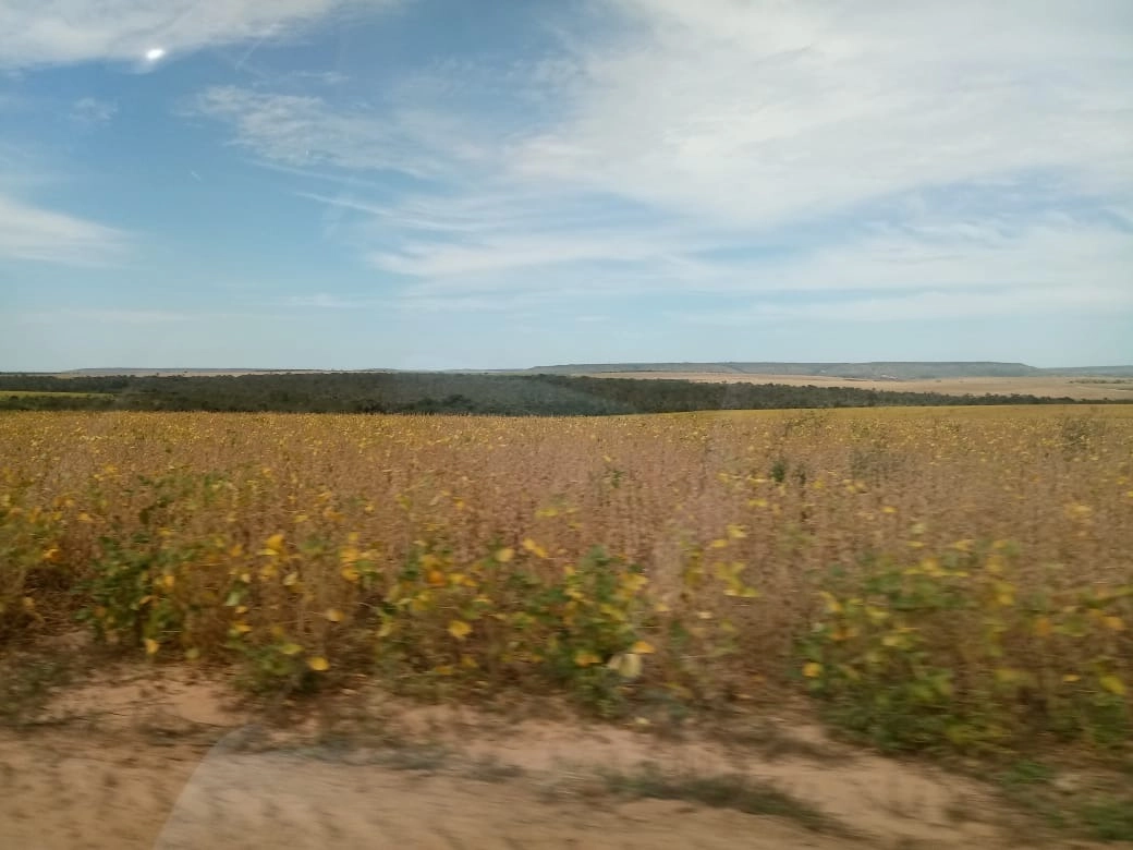 image_re_6765590.jpg