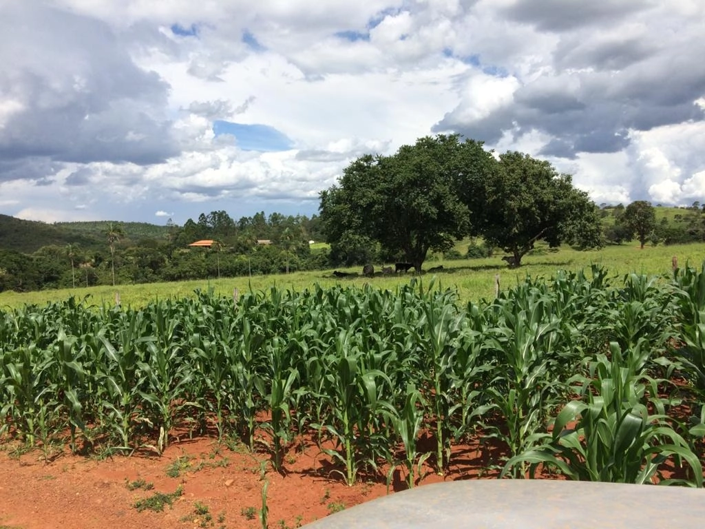 Chácara de 177400m² no bairro Alexânia, em Alexânia | Eu Corretor