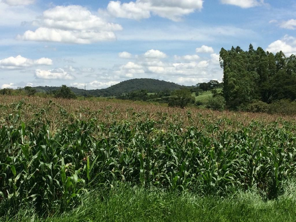 Chácara de 177400m² no bairro Alexânia, em Alexânia | Eu Corretor