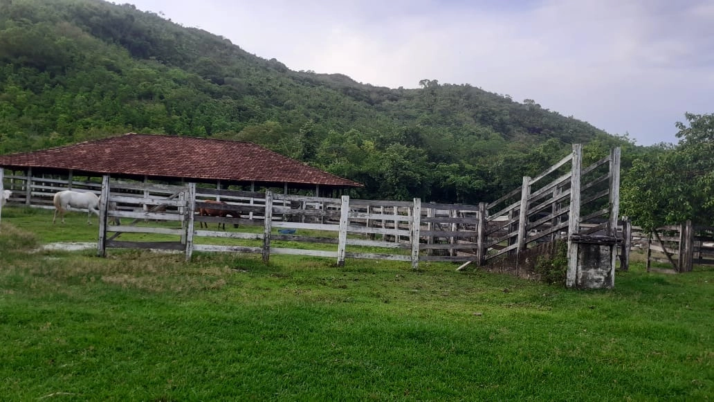 image_re_6765785.jpg