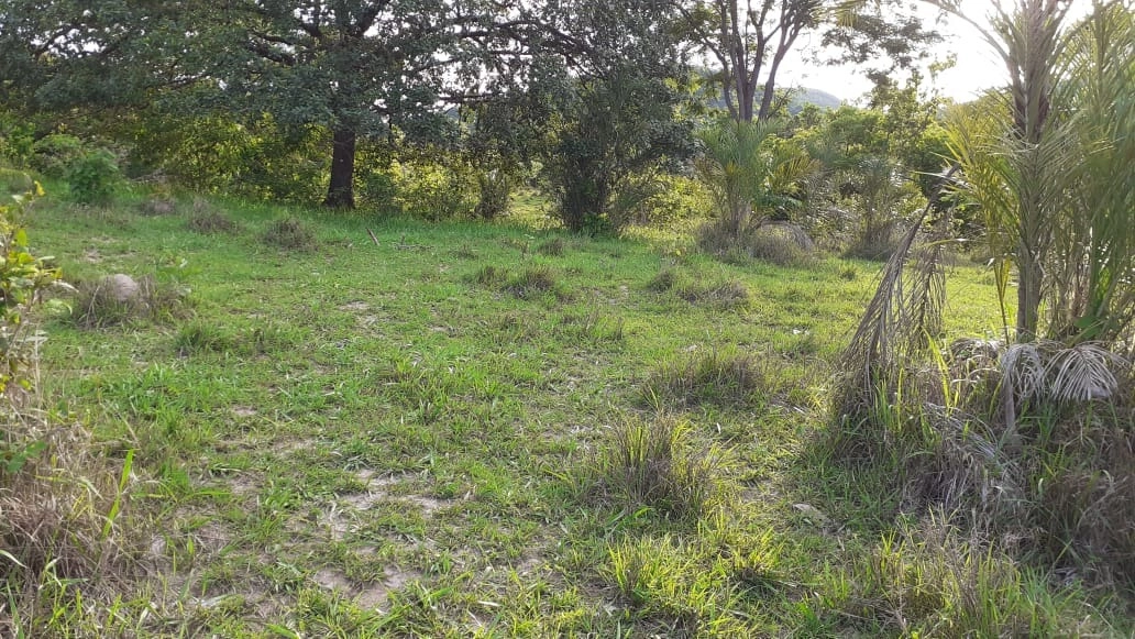 Fazenda/Sítios/Chácaras de 6292000m² no bairro Faina, em Faina | Eu Corretor