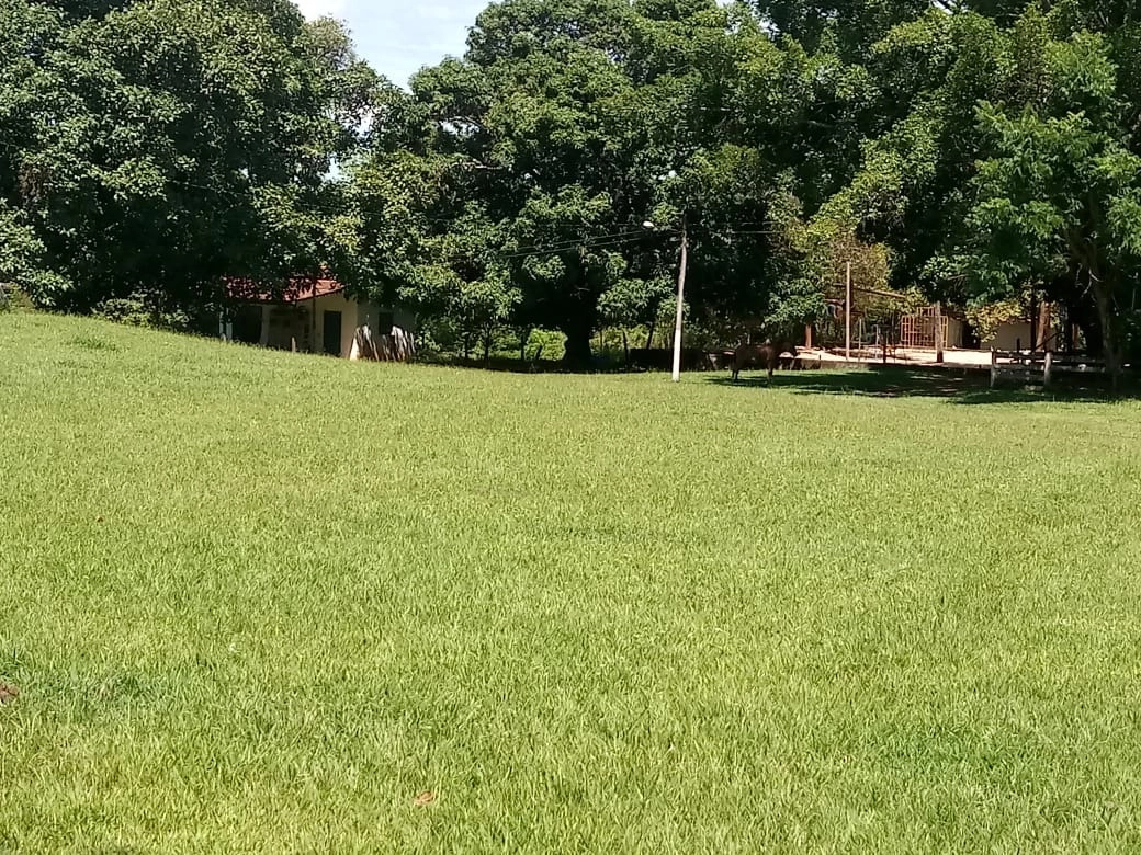 image_re_6765791.jpg