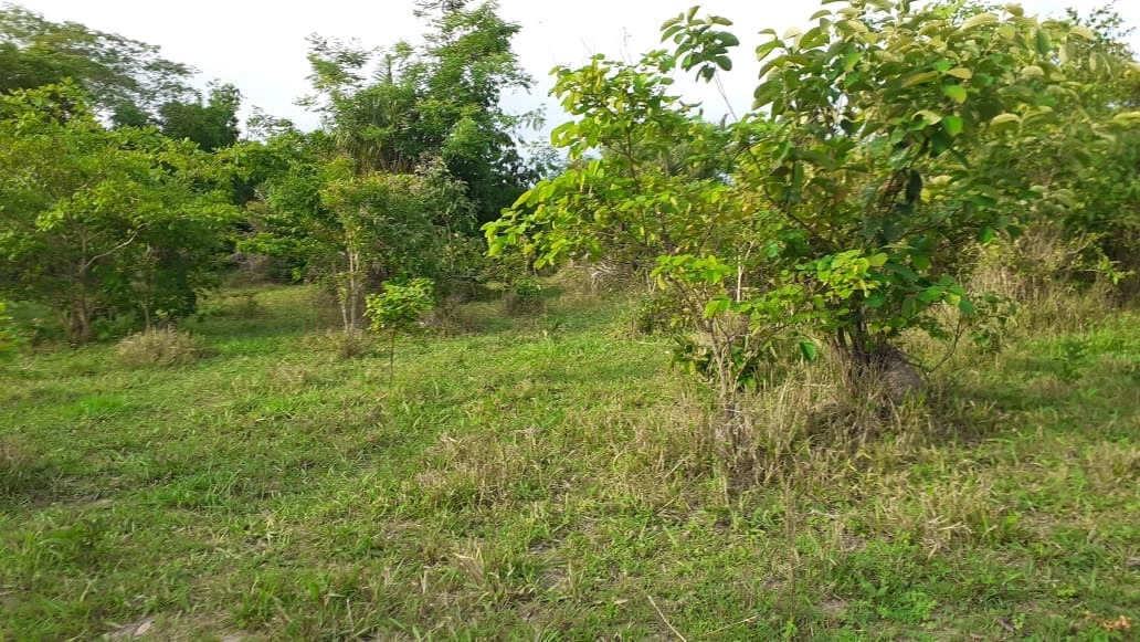 image_re_6765792.jpg