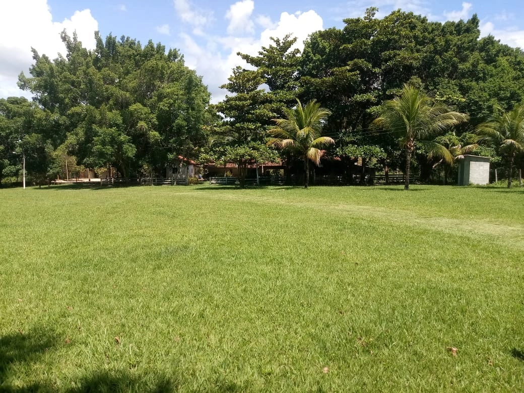 image_re_6765794.jpg