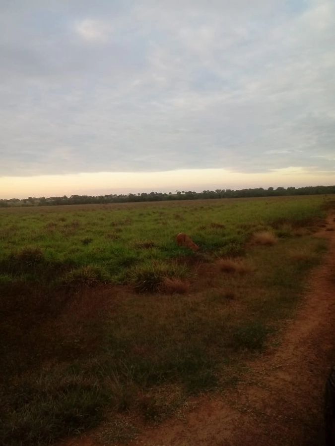 image_re_6765857.jpg