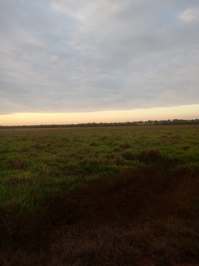 Fazenda/Sítios/Chácaras de 4065600m² no bairro Araguapaz, em Araguapaz | Eu Corretor
