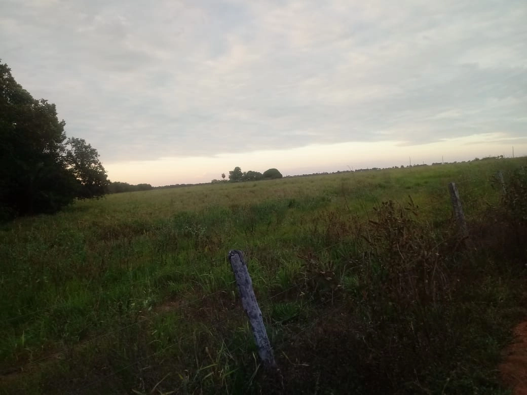 image_re_6765868.jpg