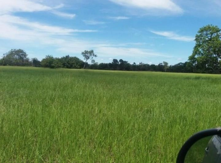 Fazenda/Sítios/Chácaras de 68430000m² no bairro Nova Crixás, em Nova Crixás | Eu Corretor