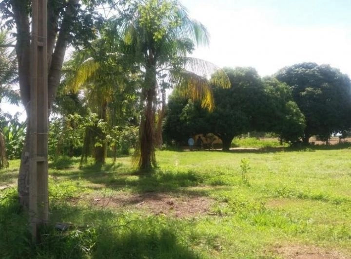 Fazenda/Sítios/Chácaras de 68430000m² no bairro Nova Crixás, em Nova Crixás | Eu Corretor