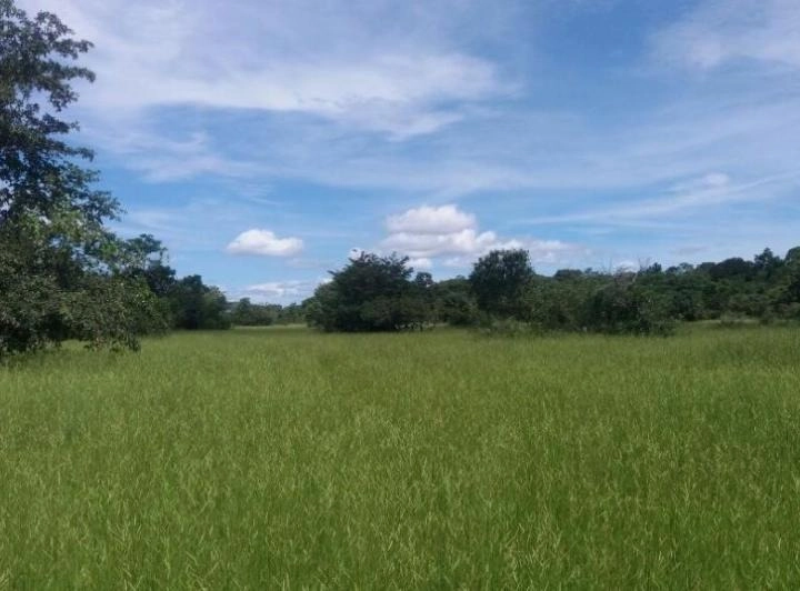 Fazenda/Sítios/Chácaras de 68430000m² no bairro Nova Crixás, em Nova Crixás | Eu Corretor
