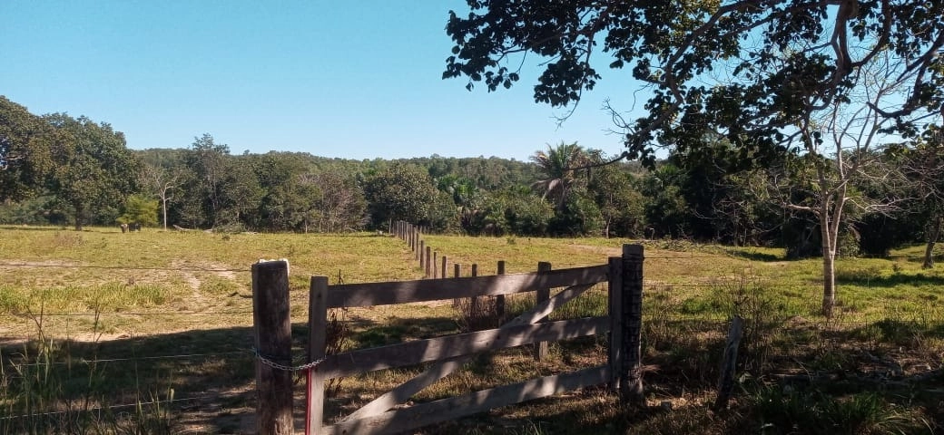 Fazenda/Sítios/Chácaras de 6292000m² no bairro Faina, em Faina | Eu Corretor