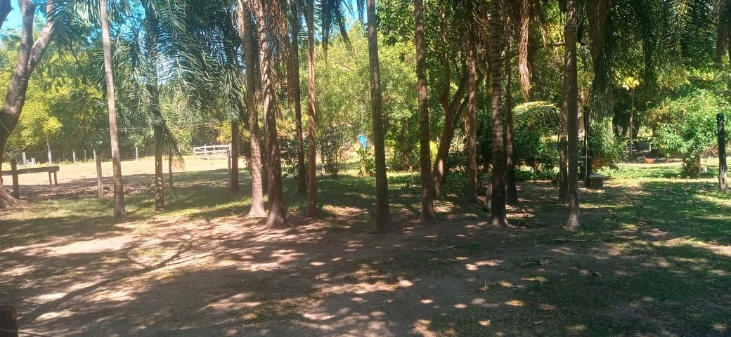 Fazenda/Sítios/Chácaras de 6292000m² no bairro Faina, em Faina | Eu Corretor