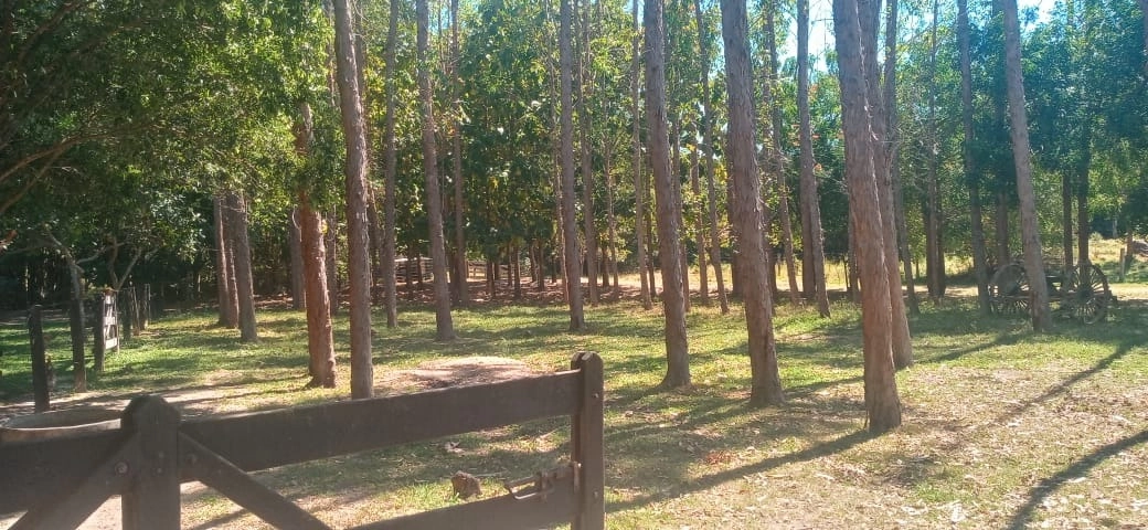 image_re_6765928.jpg