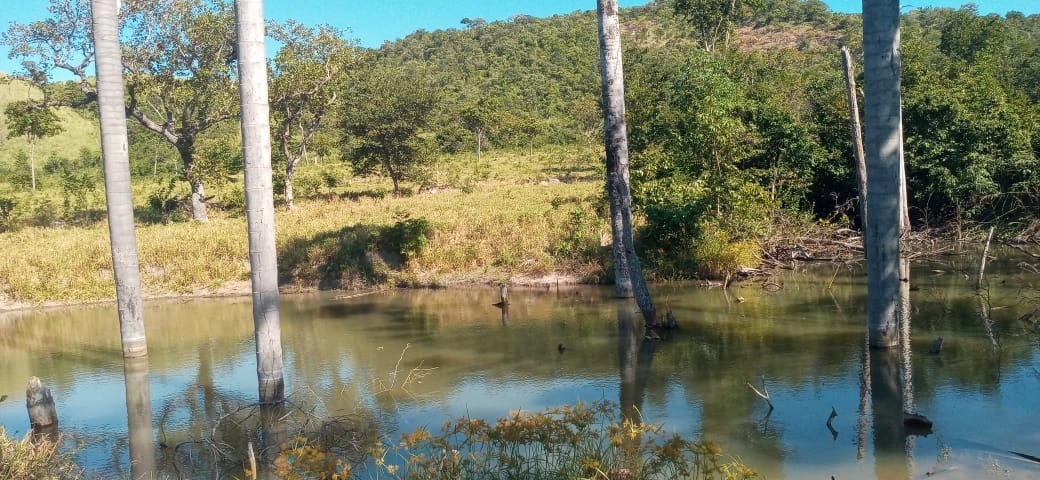 image_re_6765931.jpg