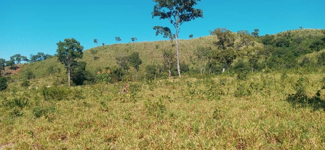 image_re_6765937.jpg