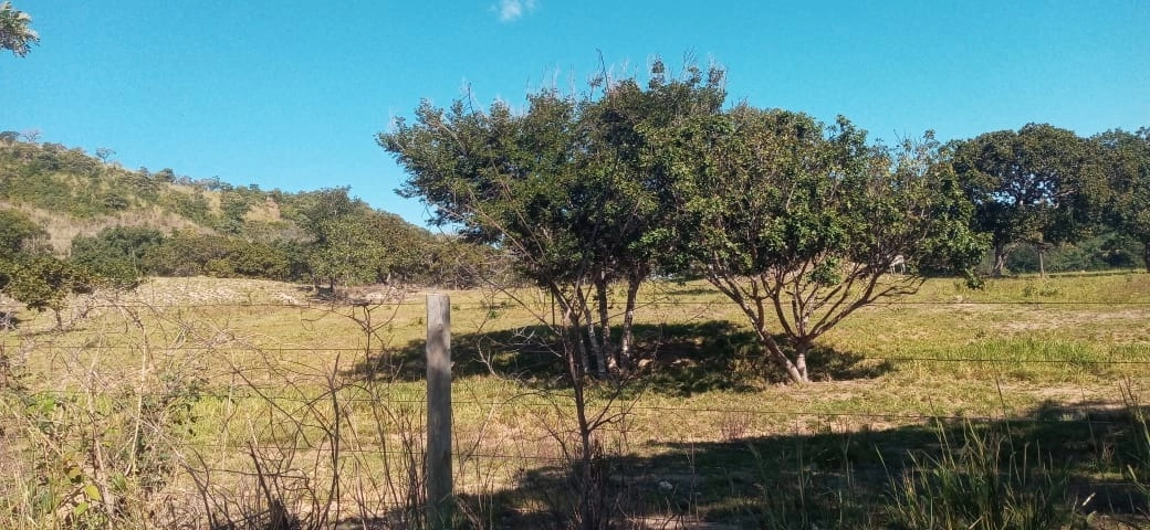 image_re_6765939.jpg