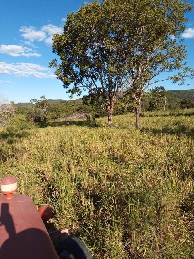 Fazenda/Sítios/Chácaras de 11470800m² no bairro Faina, em Faina | Eu Corretor