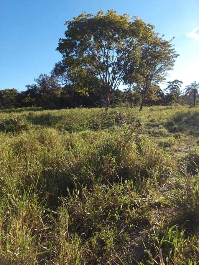 Fazenda/Sítios/Chácaras de 11470800m² no bairro Faina, em Faina | Eu Corretor