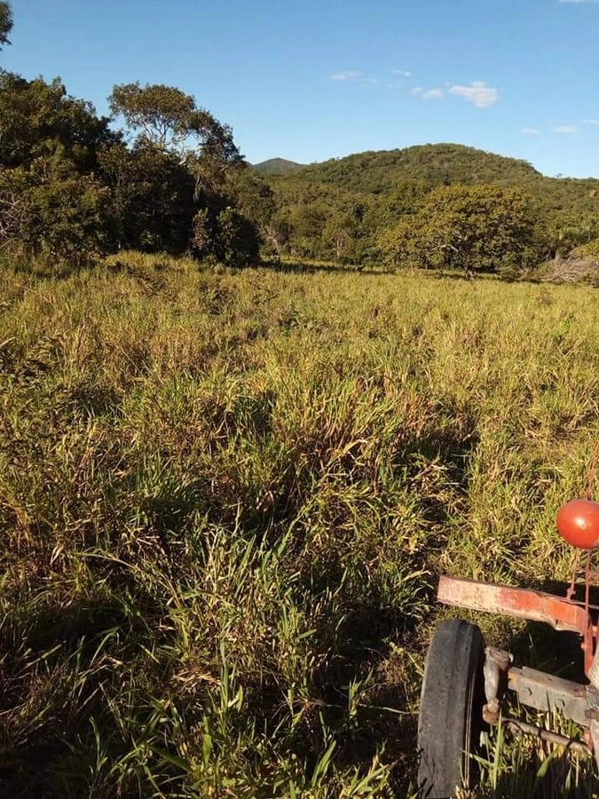 Fazenda/Sítios/Chácaras de 11470800m² no bairro Faina, em Faina | Eu Corretor