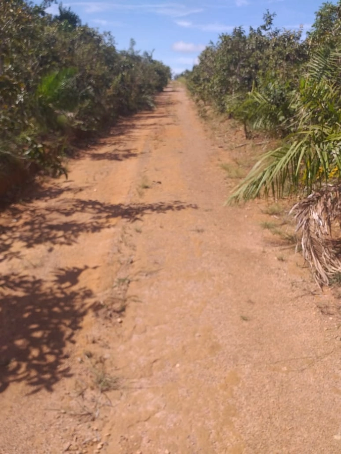 Fazenda/Sítios/Chácaras de 13794000m² no bairro Goianorte, em Goianorte | Eu Corretor