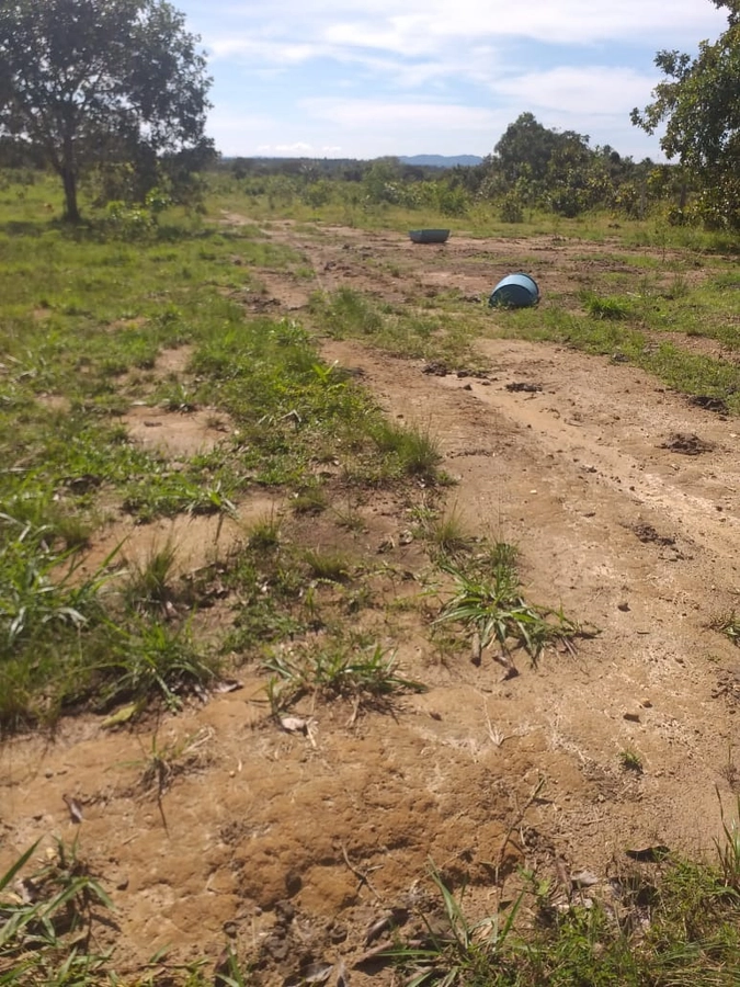 Fazenda/Sítios/Chácaras de 13794000m² no bairro Goianorte, em Goianorte | Eu Corretor