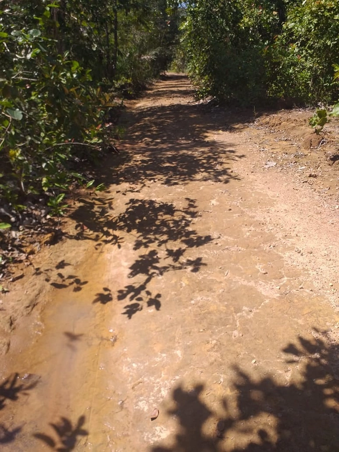 image_re_6766073.jpg