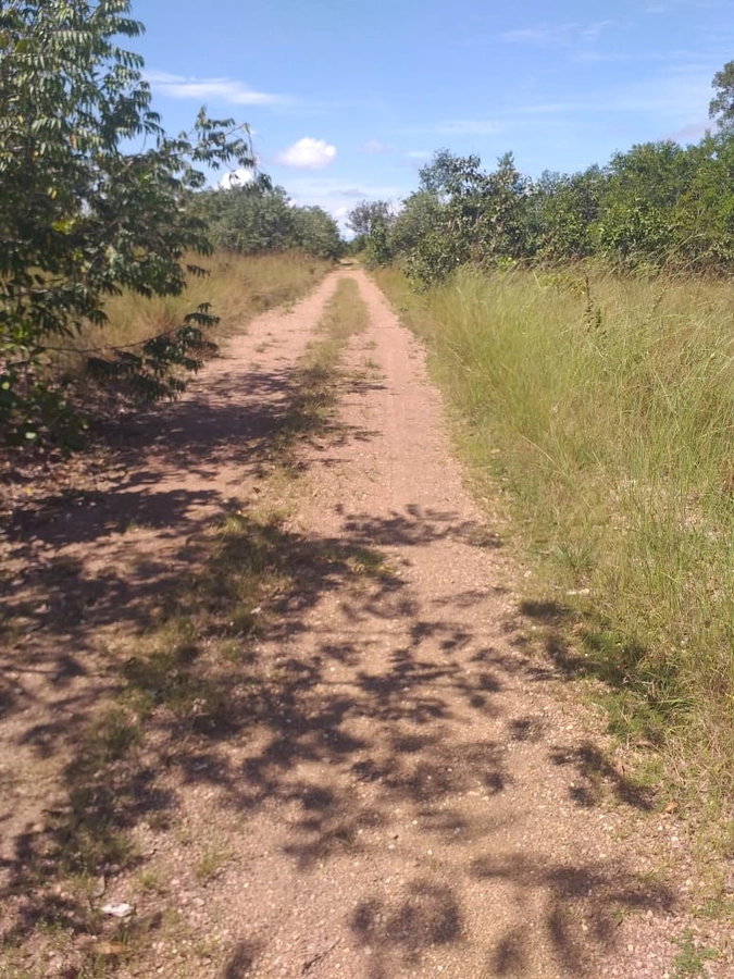 image_re_6766075.jpg
