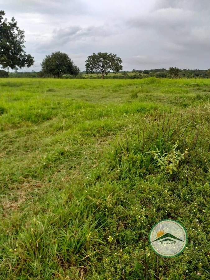 Fazenda/Sítios/Chácaras de 9873600m² no bairro Goianorte, em Goianorte | Eu Corretor