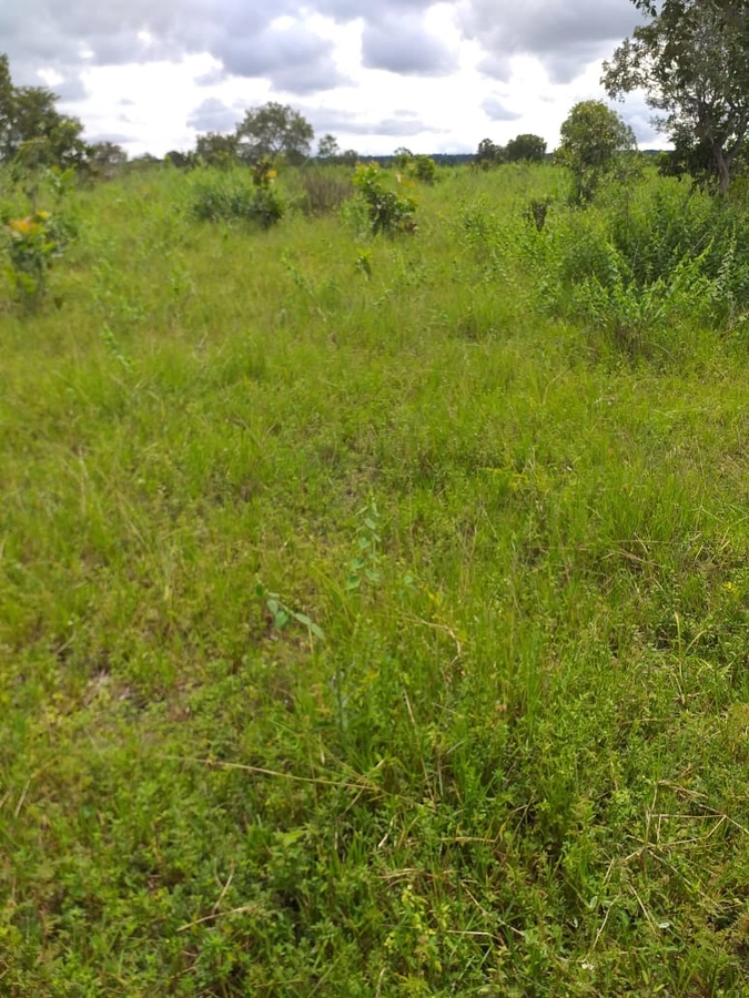 Fazenda/Sítios/Chácaras de 9873600m² no bairro Goianorte, em Goianorte | Eu Corretor