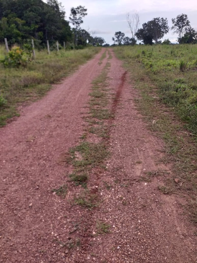Fazenda/Sítios/Chácaras de 9873600m² no bairro Goianorte, em Goianorte | Eu Corretor