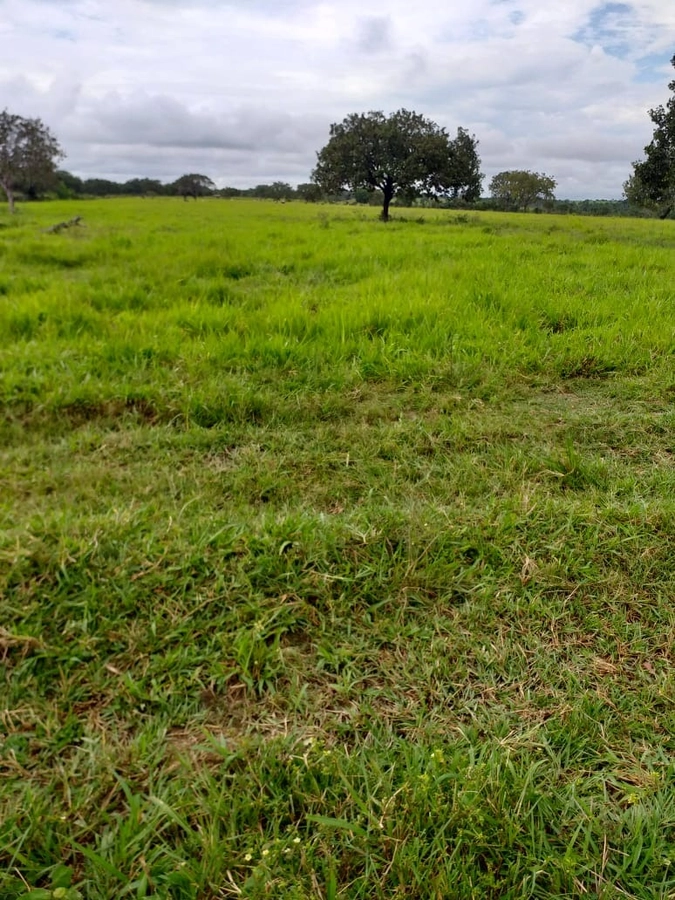 image_re_6766081.jpg