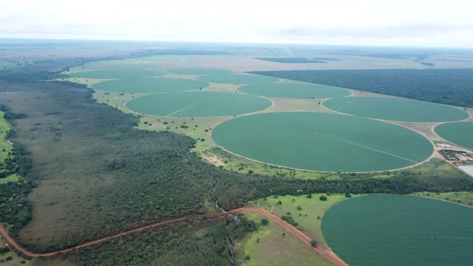 Fazenda/Sítios/Chácaras de 56140000m² no bairro Não informado, em Jussara | Eu Corretor