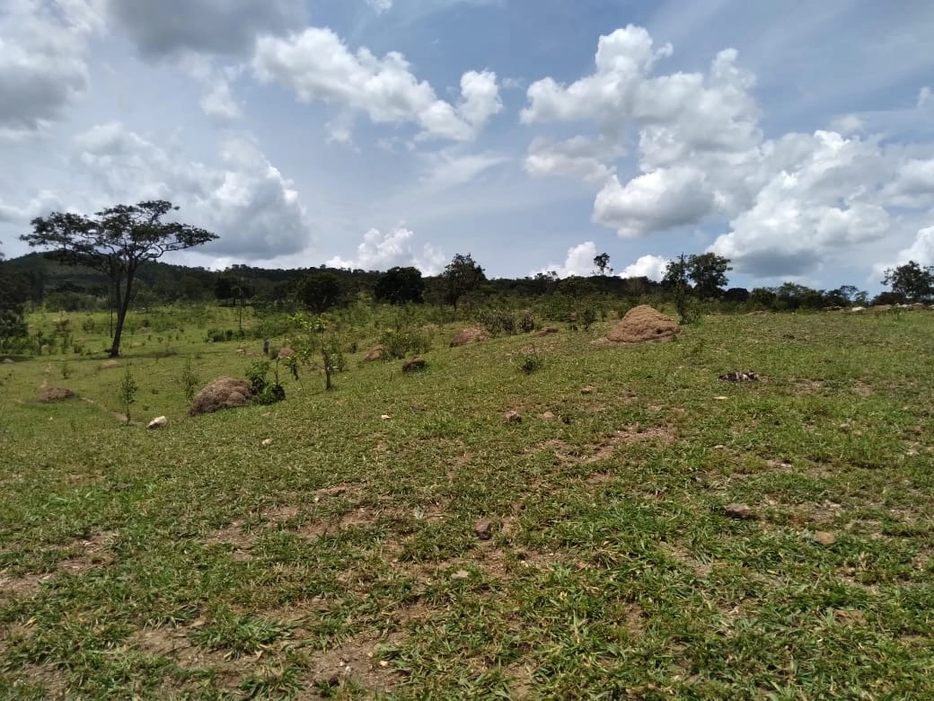 Chácara de 363000m² no bairro Alexânia, em Alexânia | Eu Corretor